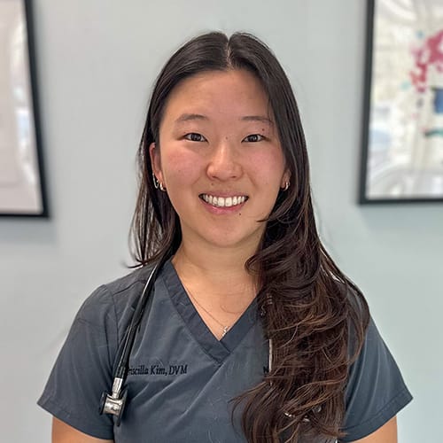 Dr. Priscilla Kim, Boulder and Westminster Emergency Veterinarian