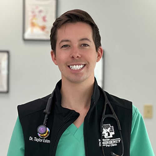 Dr. Taylor Eshmont, Boulder and Westminster Emergency Veterinarian