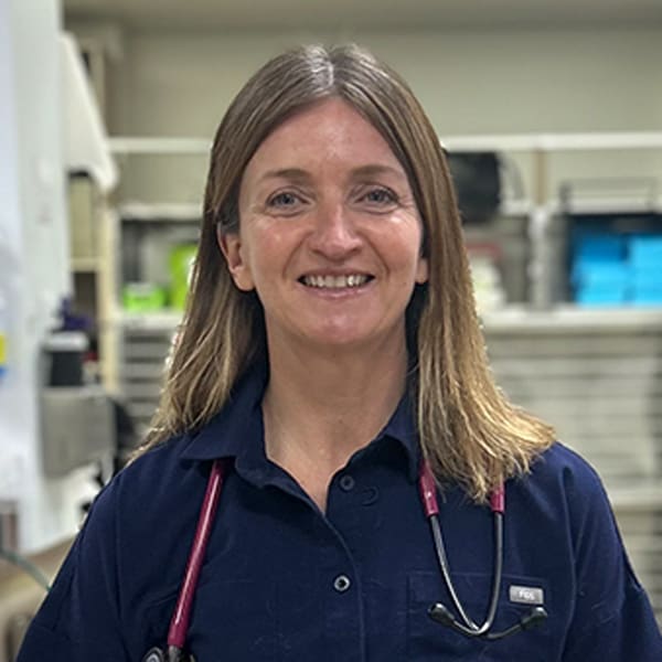 Dr. Kristy Amer, Boulder and Westminster Medical Director & Emergency Veterinarian
